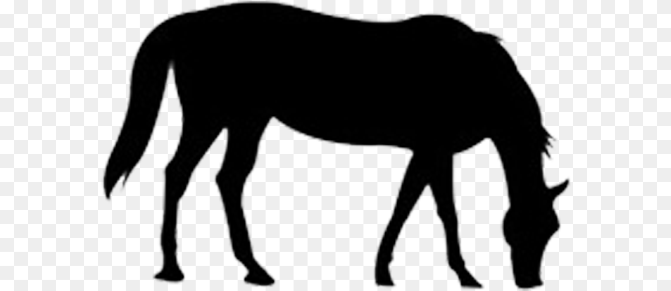 The Outline Of The Horse Horse, Silhouette, Animal, Mammal, Colt Horse Free Png Download