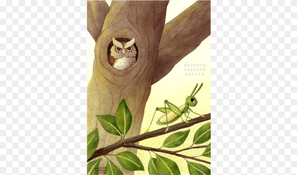 The Owl And Finishing Touches I Add Naples Yellow Color, Animal, Insect, Invertebrate, Person Free Transparent Png