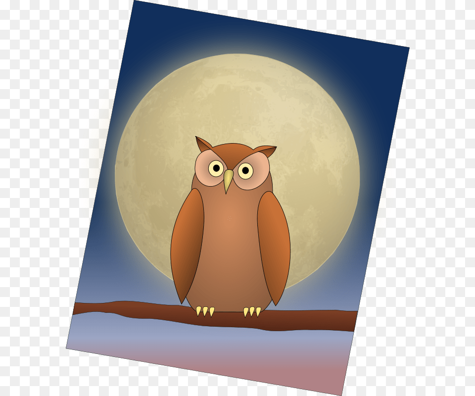 The Owl And The Moon, Animal, Bird Png Image