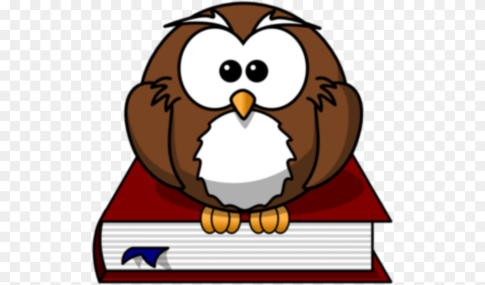The Owl Clip Art, Baby, Person, Animal, Face Png Image