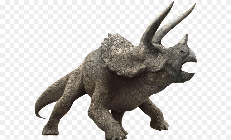 The Park Is Closed Triceratops Jurassic World, Accessories, Art, Ornament, Animal Free Png Download