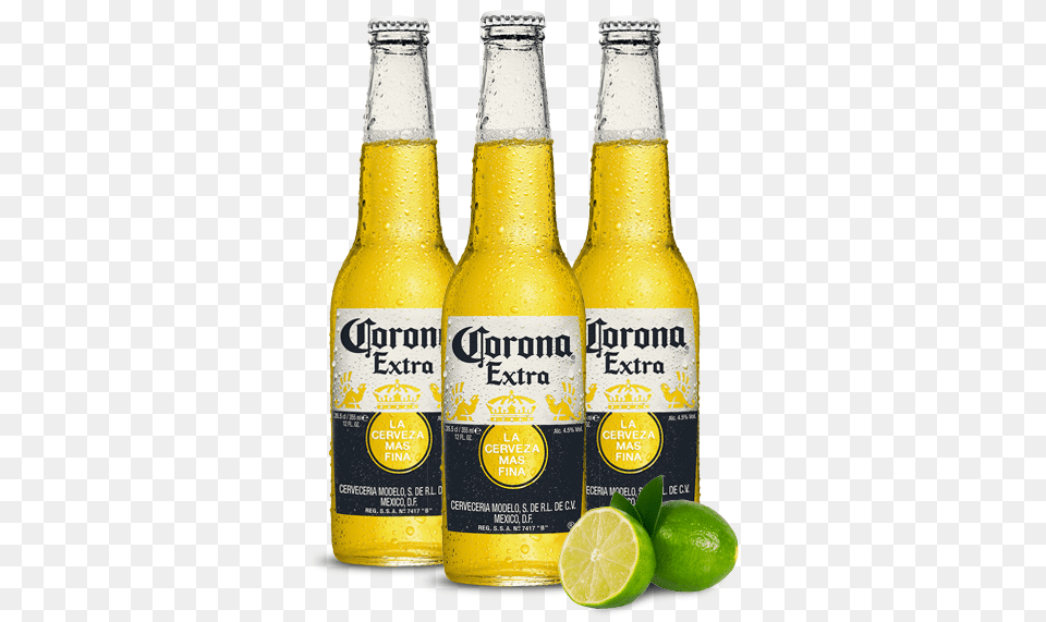 The Party Corona Extra, Alcohol, Plant, Fruit, Food Png Image