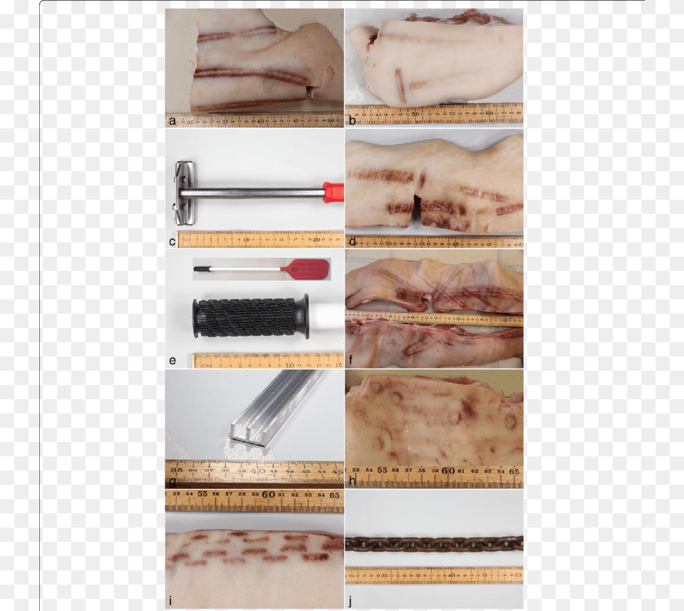 The Patterns Of Bruises On Pig Skin And Objects Clearly Andouillette, Baby, Person, Face, Head Free Png Download