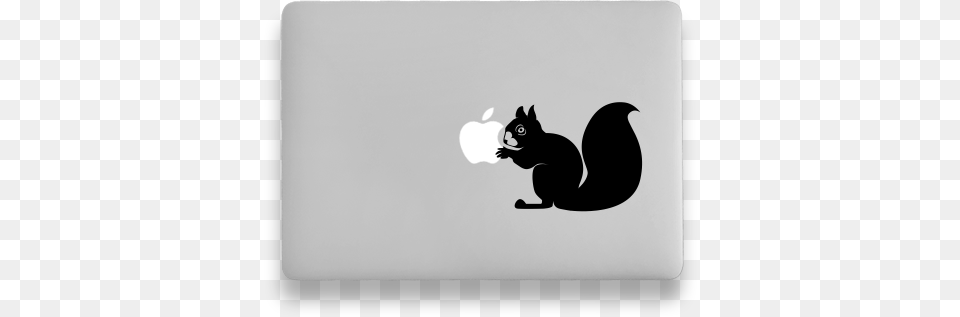 The Perfect Choice For Chipmunk, Silhouette, Stencil, Animal, Cat Png
