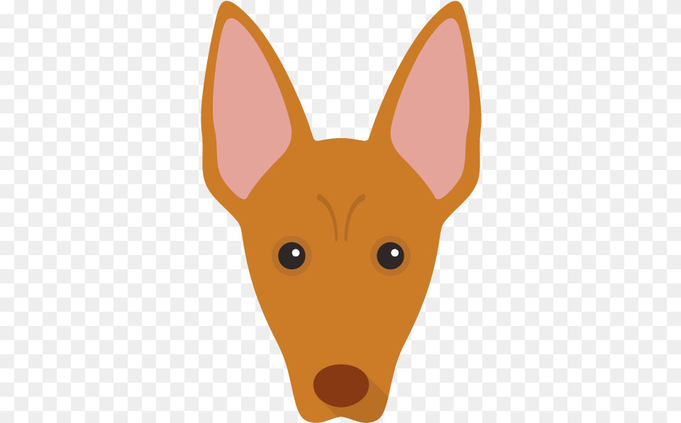 The Pharaoh Hound Ibizan Hound, Animal, Deer, Mammal, Wildlife Free Transparent Png