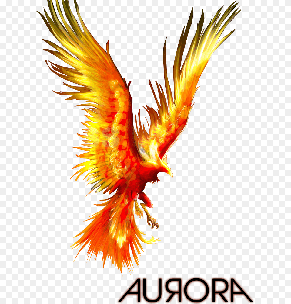The Phoenix Phoenix Bird, Animal, Chicken, Fowl, Poultry Png Image