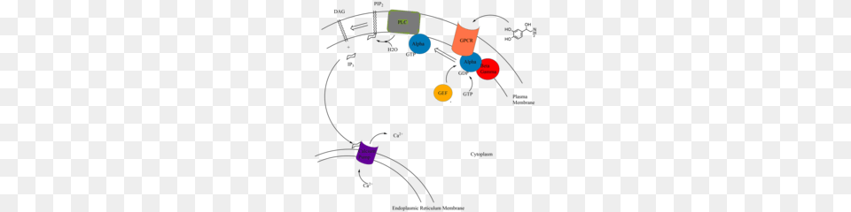 The Phosphoinositol Signaling Pathway, Smoke Pipe, Outdoors Free Png Download