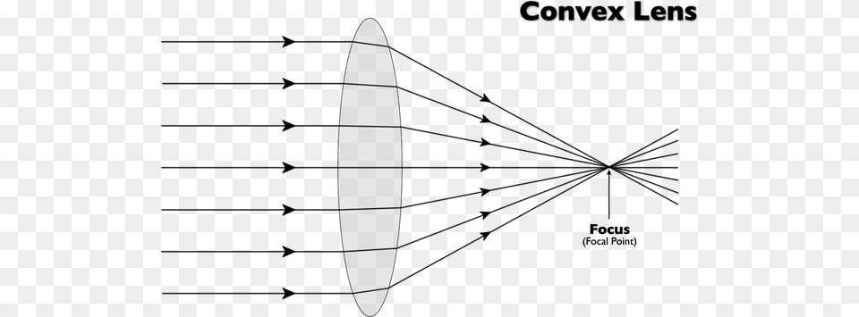 The Photons Of Light Then Travels In All Directions Simple Convex Lens Ray Diagram, Leisure Activities, Nature, Outdoors, Sea Png