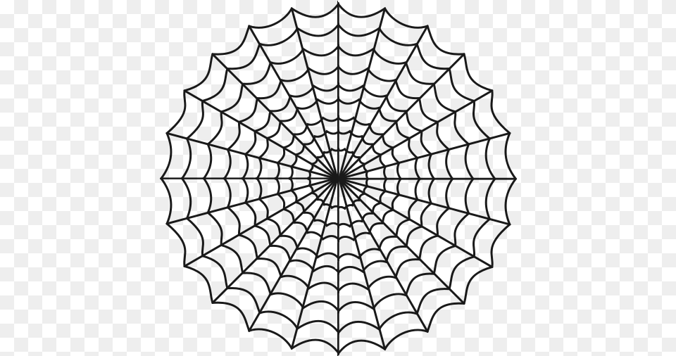 The Pictures, Spider Web Png Image