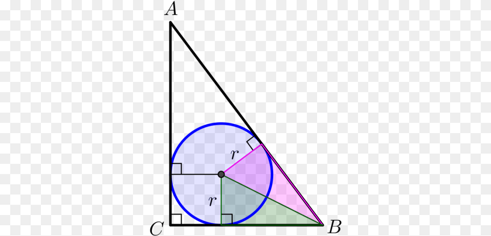 The Pink Triangle Is Congruent To The Green Triangle Triangle, Animal, Fish, Sea Life, Shark Png Image
