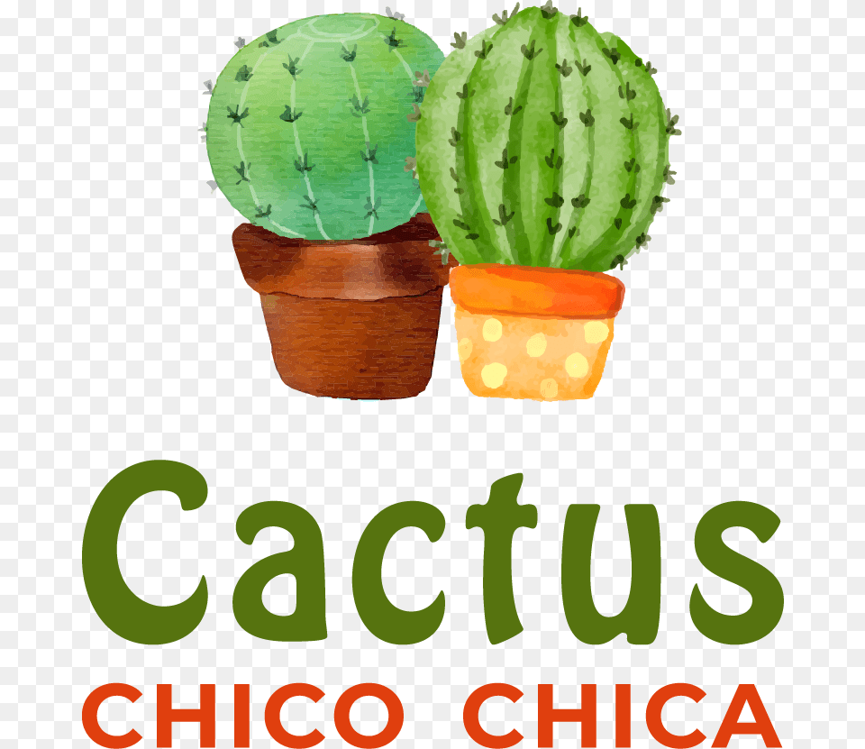 The Place For Home Crafted Quirky Sweet Fun Embroidery Cactus Chico Chica, Plant, Person Png Image