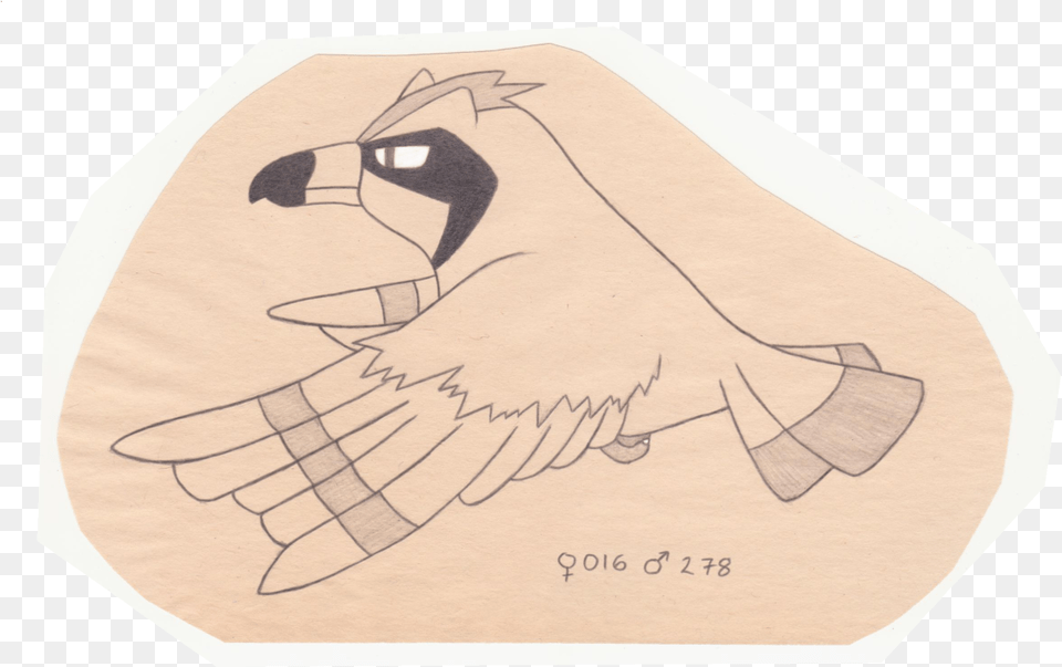 The Pokemon Ornithologist Pidgey Parrot, Home Decor, Rug, Person Png