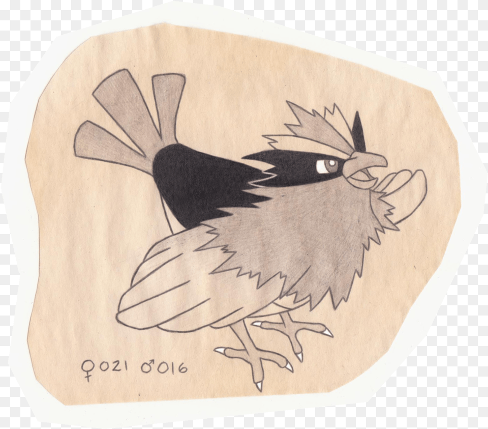 The Pokemon Ornithologist U2014 Spearow Tiny Bird Pokemon Illustration, Home Decor, Animal, Jay, Blackbird Free Png
