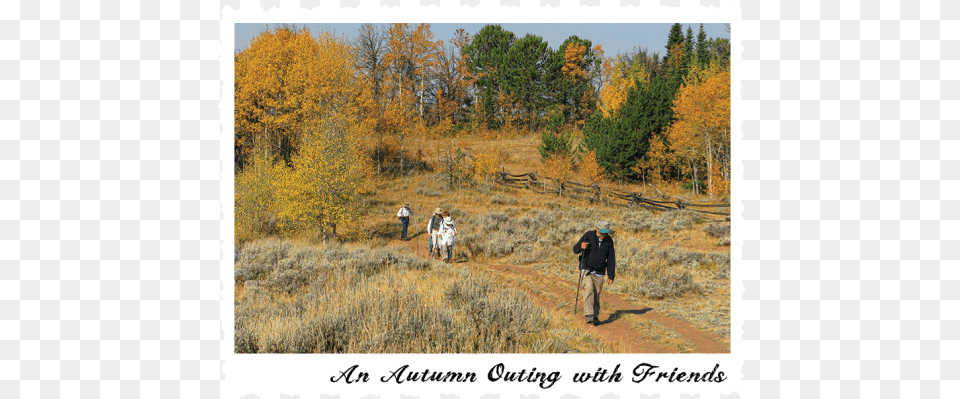 The Pole Mountain Section Of This Magnificent National Wyoming, Adventure, Tree, Plant, Person Png Image