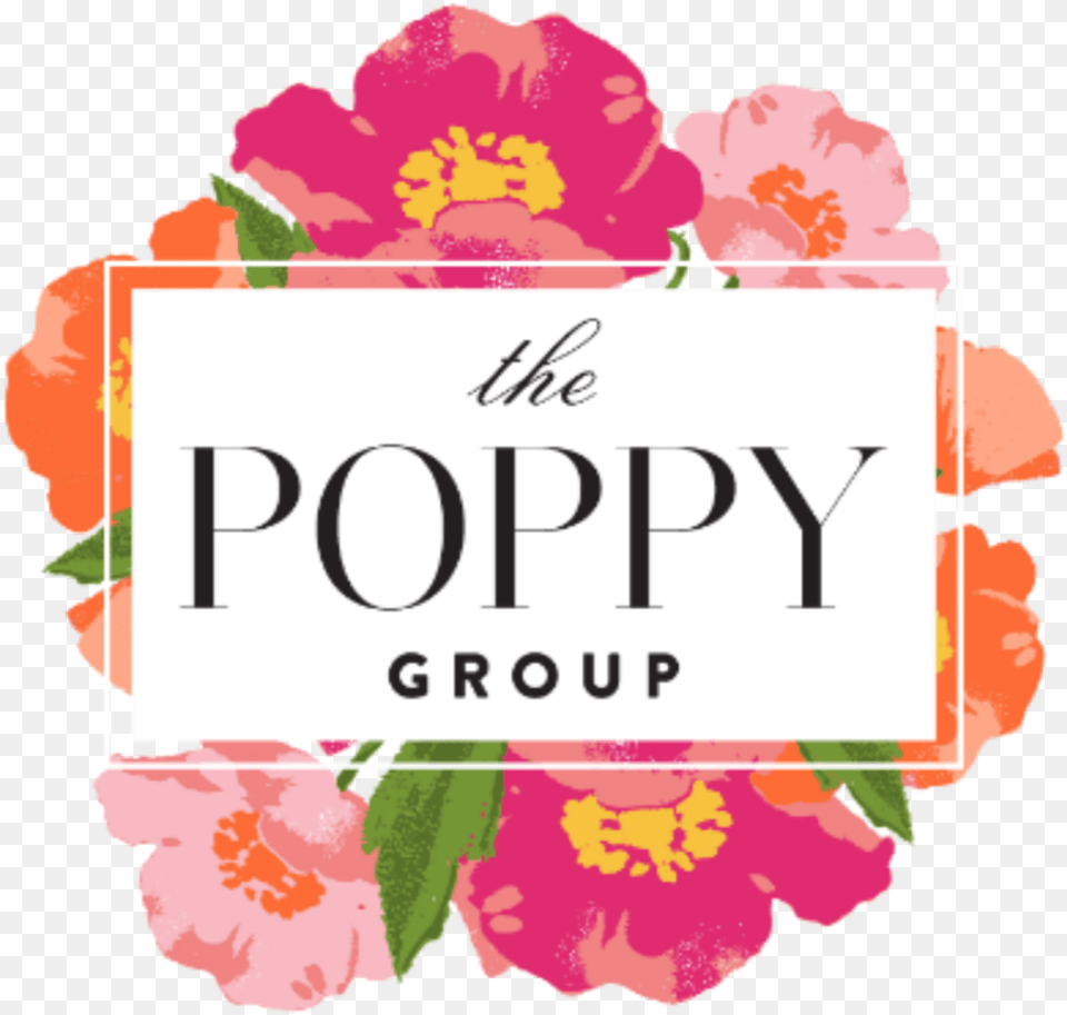 The Poppy Group Poppies, Flower, Petal, Plant, Anther Free Png Download