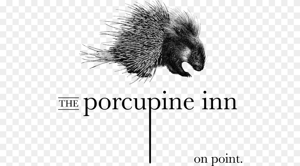 The Porcupine Inn Wild Atlantic Irish Gin, Gray Png