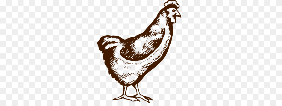 The Poultry Farmers Directory, Maroon, Wood Free Transparent Png