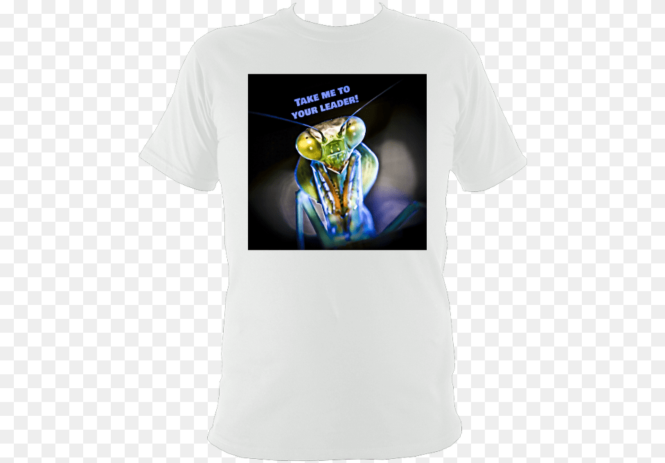 The Praying Mantis Yoda, T-shirt, Clothing, Adult, Person Free Png