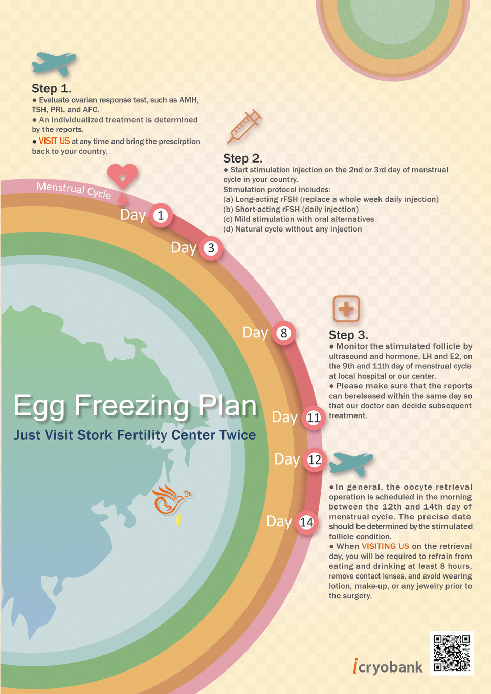 The Procedure Of Egg Freezing Brochure, Advertisement, Poster, Text, Page Free Transparent Png