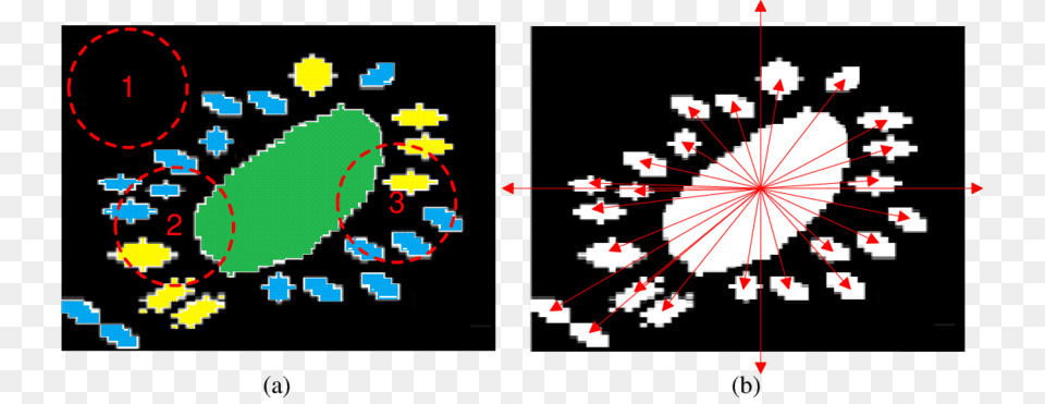 The Process Of Computing Geometric Features Graphic Design, Flower, Plant Png