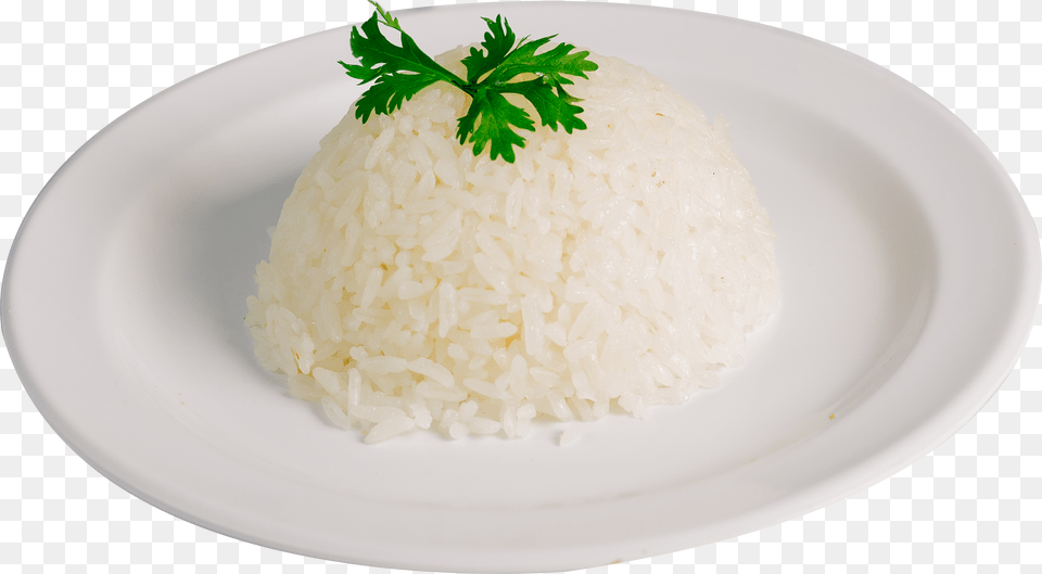 The Product Is Already In The Wishlist Browse Wishlist Steamed Rice, Food, Food Presentation, Plate, Grain Png