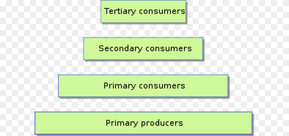 The Pyramid Of Energy Is Ecological Pyramid, Text, Page Free Png Download