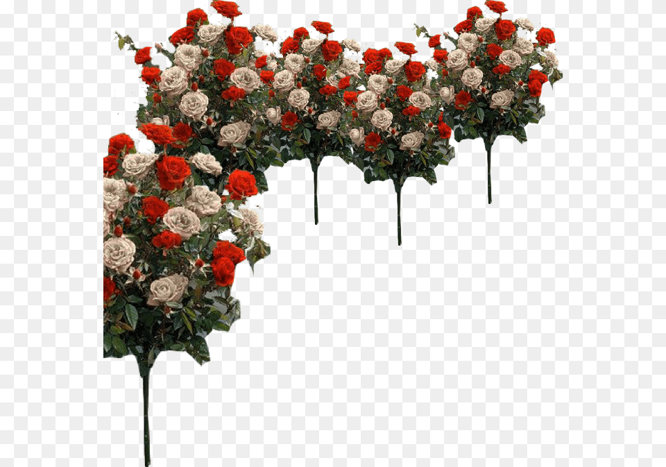 The Queen39s Croquet Ground Garden Roses, Art, Floral Design, Flower, Flower Arrangement Png