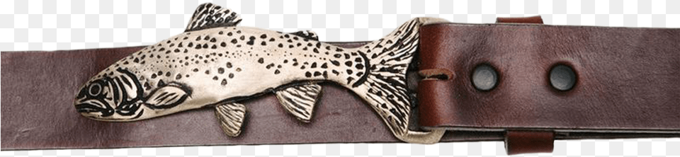 The Rainbow Trout Belt Buckle Hooknhide Rainbow Trout Buckle Amp Belt, Accessories, Animal, Fish, Sea Life Png Image