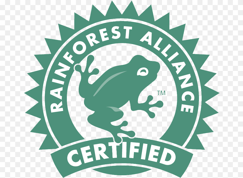 The Rainforest Alliance Rainforest Alliance Logo, Animal, Bear, Mammal, Wildlife Png