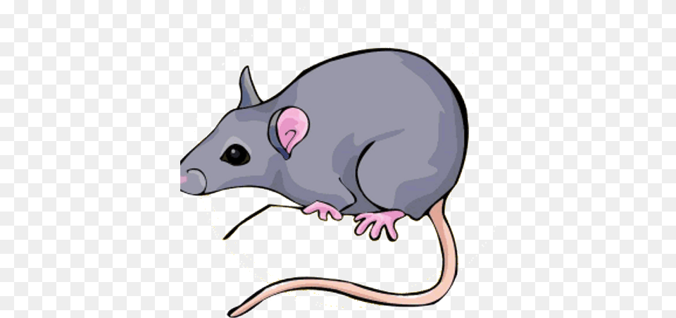 The Rat Den Guilded Animal Figure, Mammal, Rodent, Canine, Dog Png