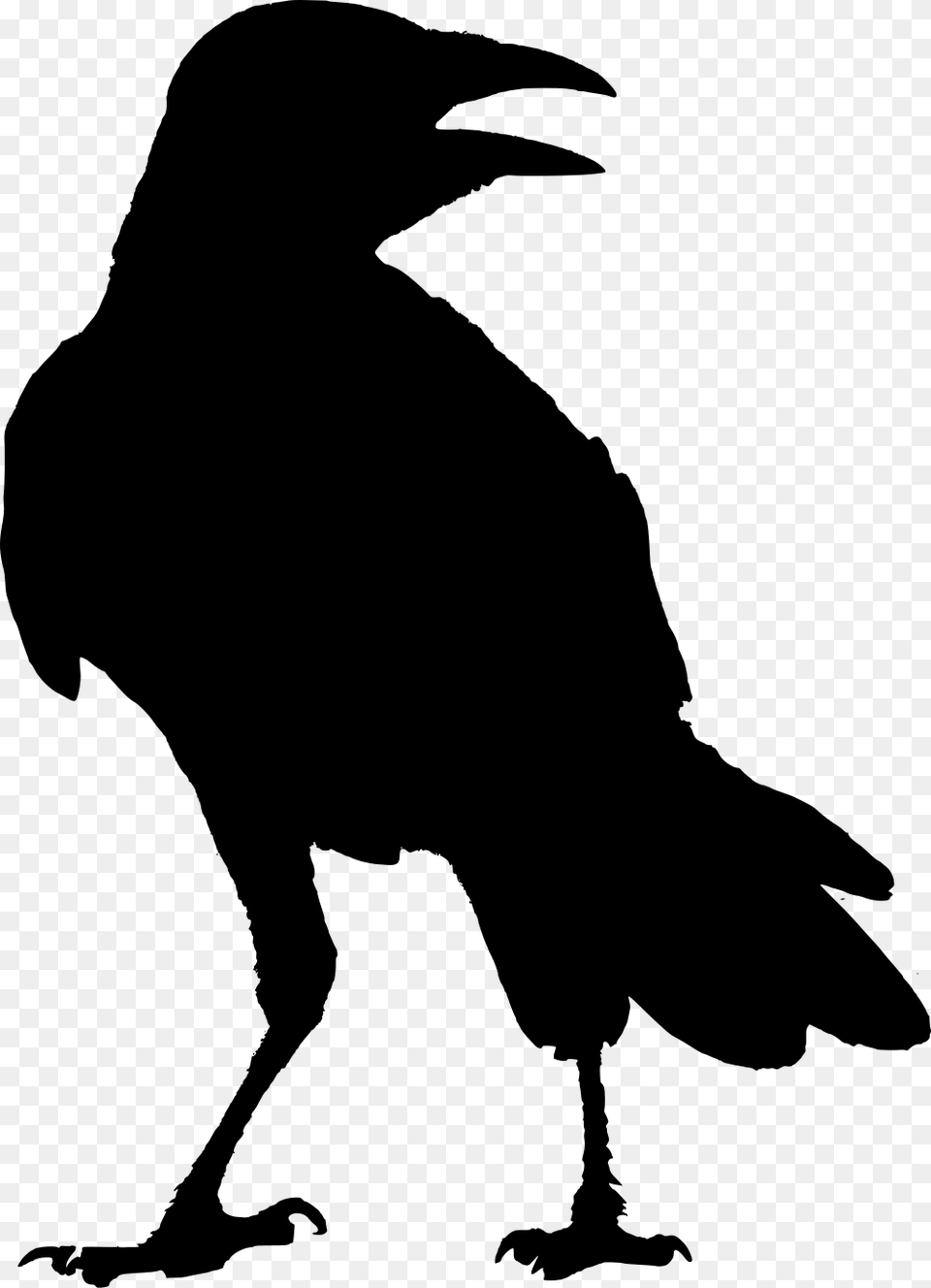 The Raven G Whitcoe Designs Crow Odin Raven Silhouette, Gray Free Transparent Png