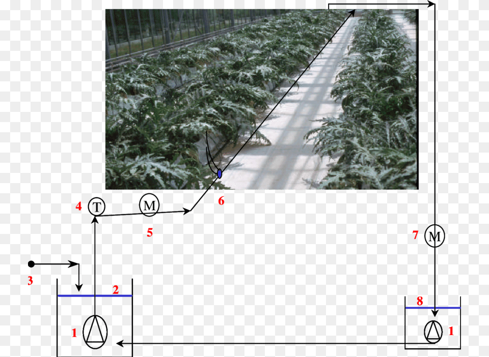 The Re Circulating System Of Nutrient Solution For, Vegetation, Tree, Garden, Nature Free Png Download