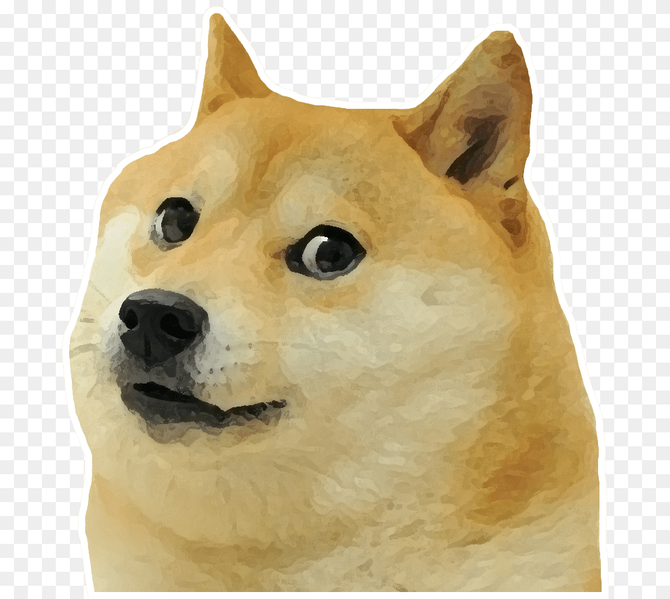 The Real Doge Pound Anonymous Fri May 18 Doge Com Fundo Transparente, Animal, Canine, Dog, Husky Png Image