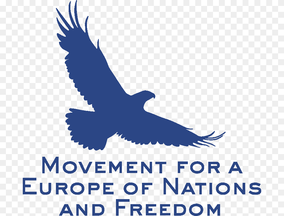 The Real Europe, Animal, Bird, Kite Bird, Vulture Free Png Download