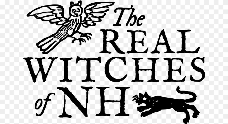 The Real Witches Of New Hampshire Insect, Gray Png Image