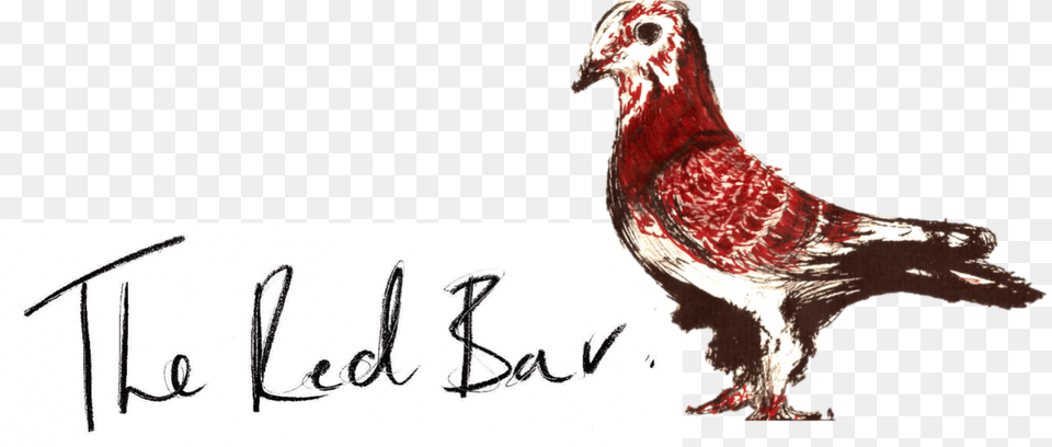 The Red Bar Post Chicken, Animal, Bird, Text Png Image