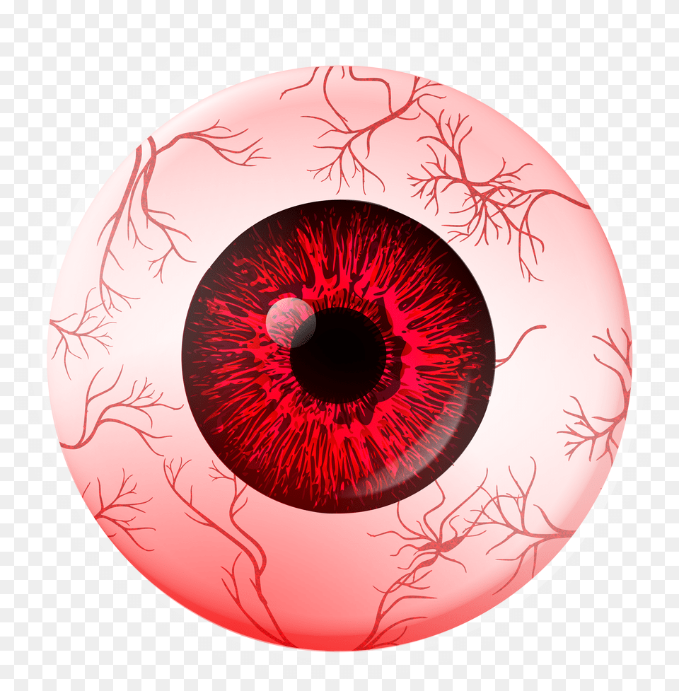 The Red Eye Special Transparent Red Eye, Animal, Fish, Sea Life, Tuna Free Png