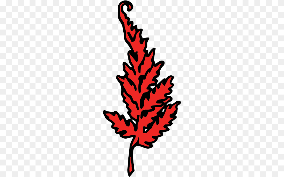 The Red Fern, Leaf, Plant, Tree, Maple Leaf Free Png Download