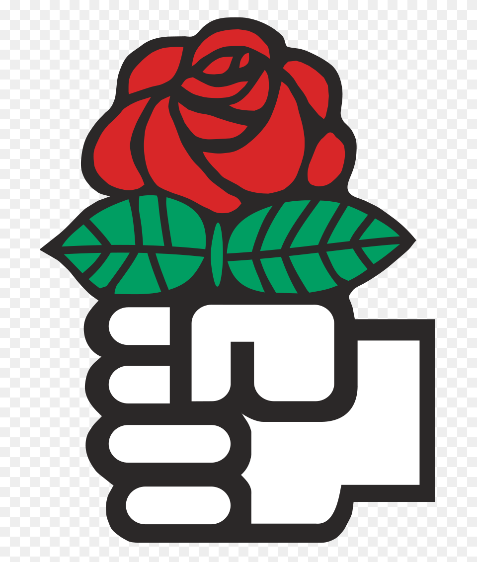 The Red Rose Is A Symbol Of Social Democracy Tattoo Ideas, Flower, Plant, Body Part, Hand Free Png