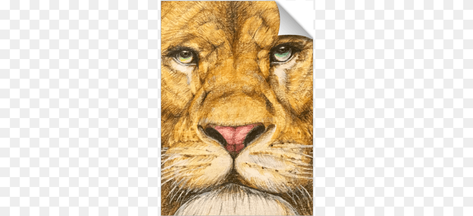 The Regal Lion Roar Of Freedom Lion, Animal, Mammal, Wildlife, Art Png Image