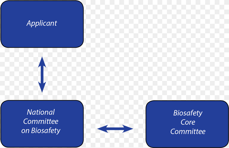 The Regulatory Process Of Importation Of Lmos Applications, Text Free Transparent Png