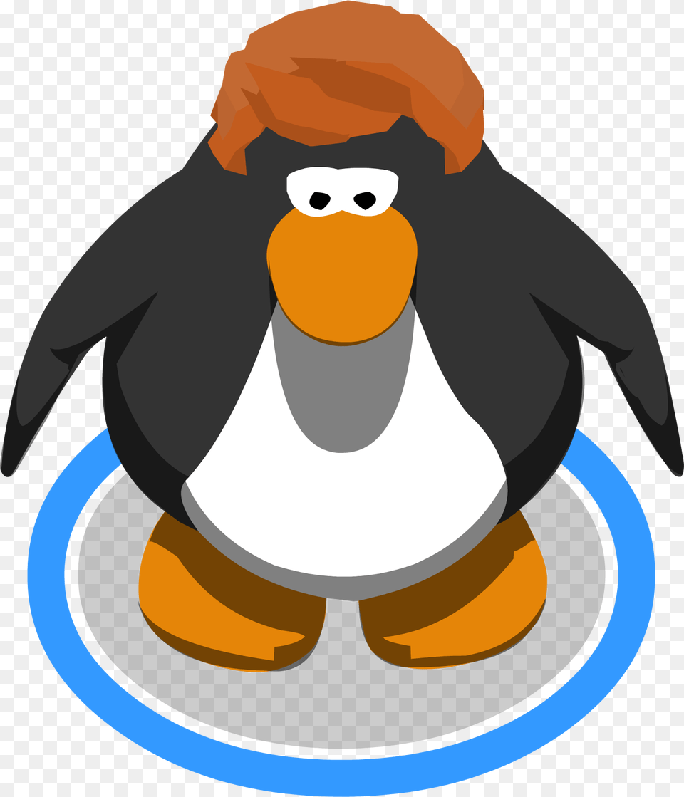 The Right Direction Ingame Club Penguin Sombrero, Person, Animal, Bird Free Png