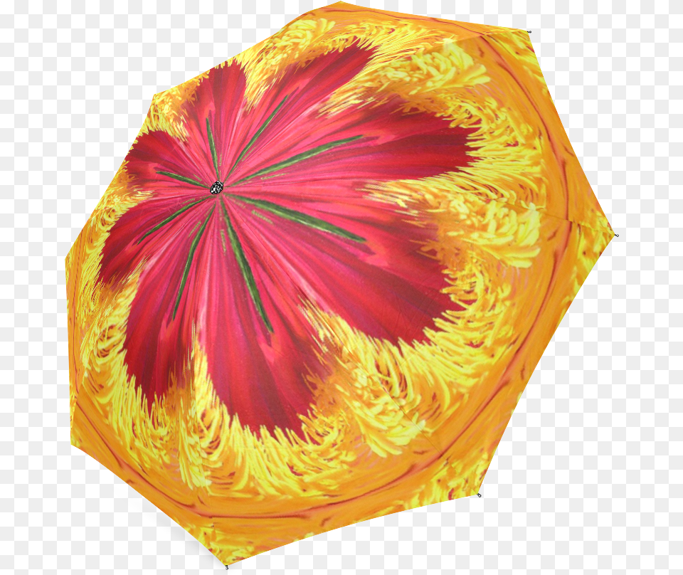The Ring Of Fire Foldable Umbrella Umbrella, Canopy, Pattern, Flower, Petal Free Png