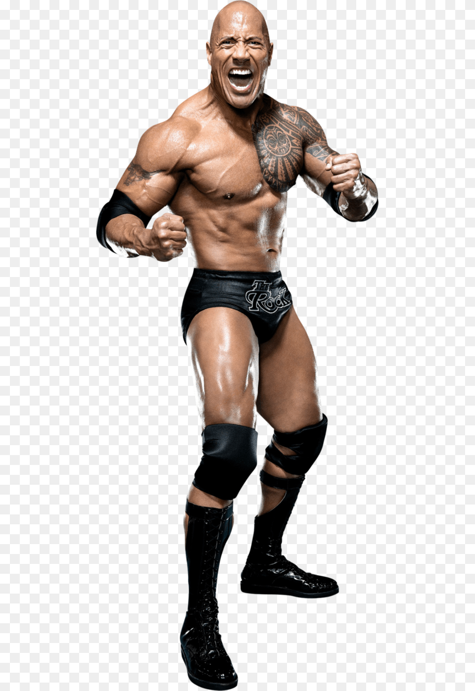 The Rock, Adult, Man, Male, Person Free Png Download