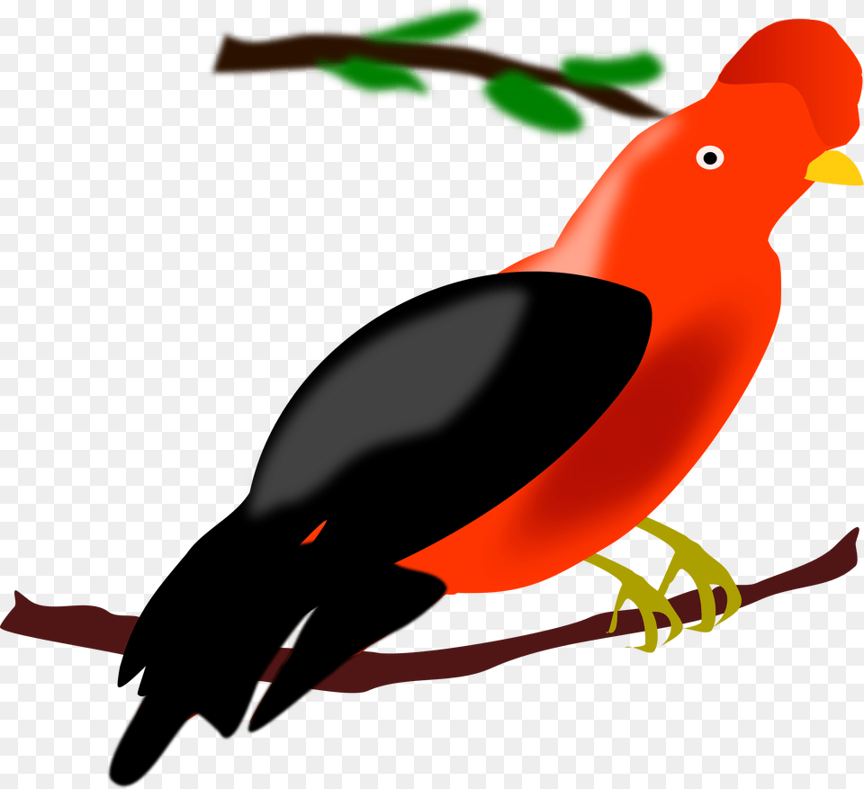 The Rock Clipart Group, Animal, Beak, Bird, Blackbird Png Image