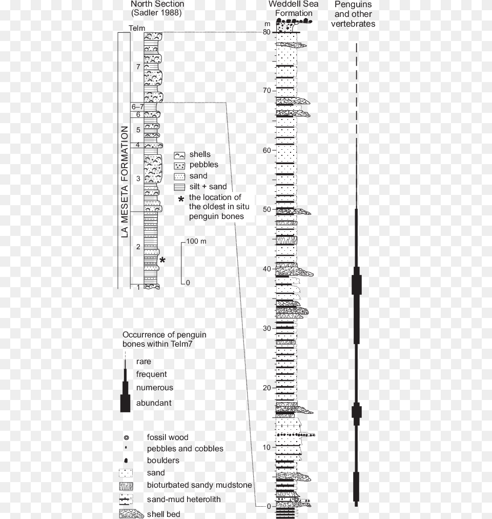 The Rock Column Of The La Meseta Formation Showing Diagram, Chart, Plan, Plot, City Free Png Download