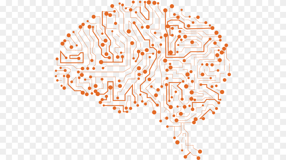 The Role Of The Nmda Receptor In Brain And Nervous Nervous System Transparent Png