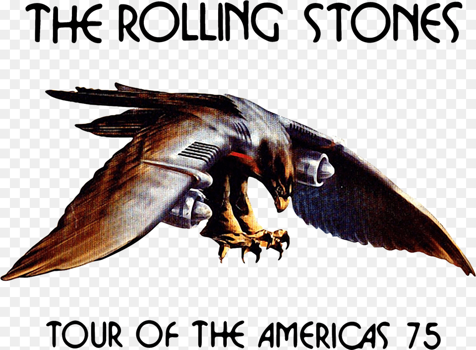 The Rolling Stone Tour Of The Americas 75 Shirt Sweater Toured With Rolling Stones In Detroit, Animal, Fish, Sea Life, Electronics Png Image