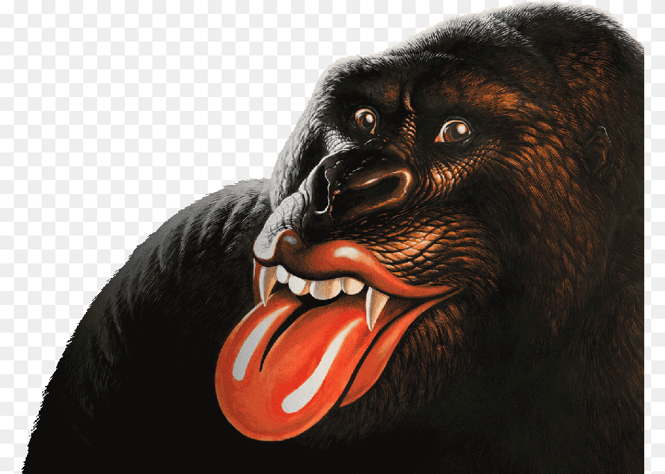 The Rolling Stones Rolling Stones Albums Cd, Animal, Ape, Mammal, Wildlife Png Image
