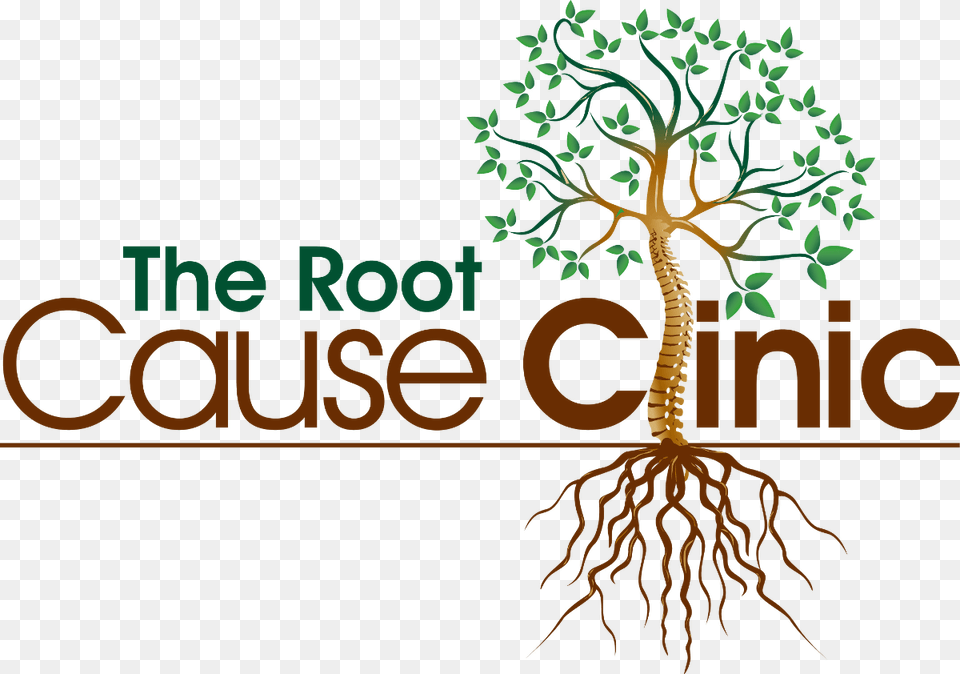 The Root Cause Clinic, Plant, Tree Png Image